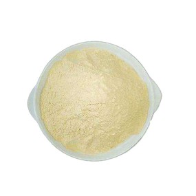 Casein Protein Powder Manufacturer - CAS 9000-71-9