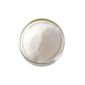 Polylysine Powder Supplier - EPL 50%-98% CAS 28211-04-3