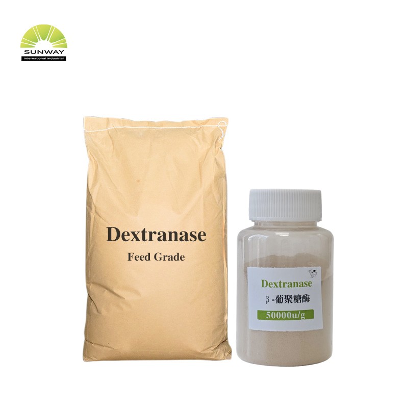 Dextranase Enzyme Supplier - CAS 9025-70-1 50000DU/g Beta-Dextranase