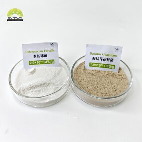Bacillus Coagulans Supplier - 10-100 Billion CFU/g for Pets CAS