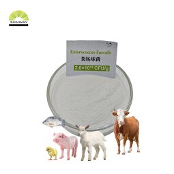 Enterococcus Faecalis Powder Factory - Premium Additive CAS 68607-31-0