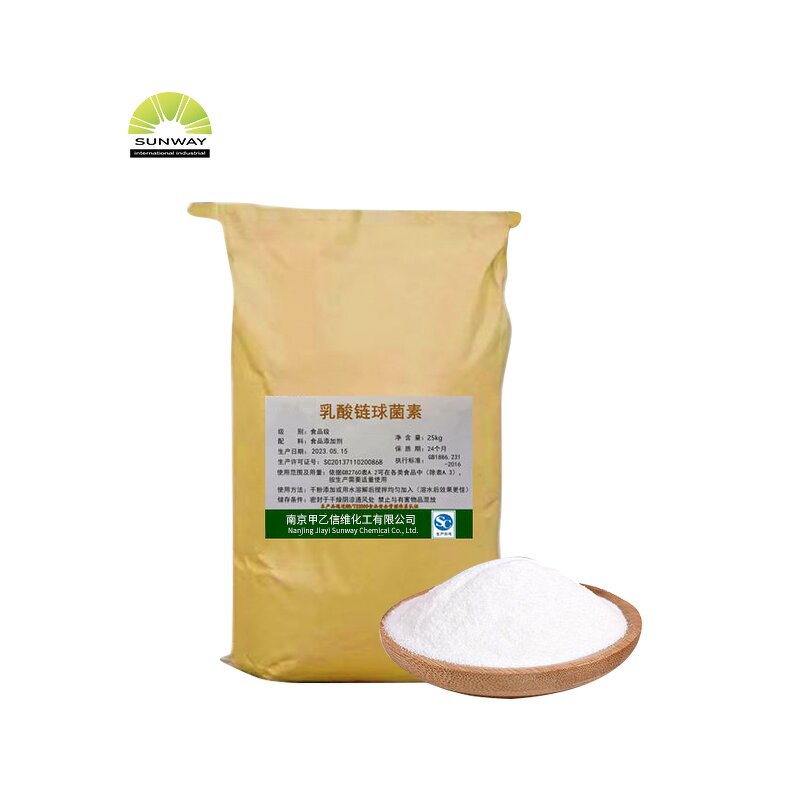Nisin Powder Manufacturer - ISO Certified Food Preservative E234 Bulk