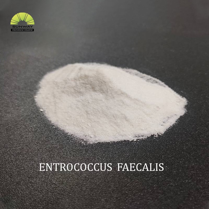 Enterococcus Faecalis Powder Factory - Premium Additive CAS 68607-31-0