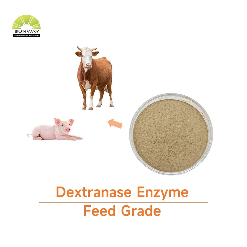 Dextranase Enzyme Supplier - CAS 9025-70-1 50000DU/g Beta-Dextranase