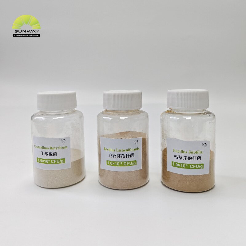 Bacillus Subtilis Powder Manufacturer - 100 Billion CFU/g Animal Probiotics