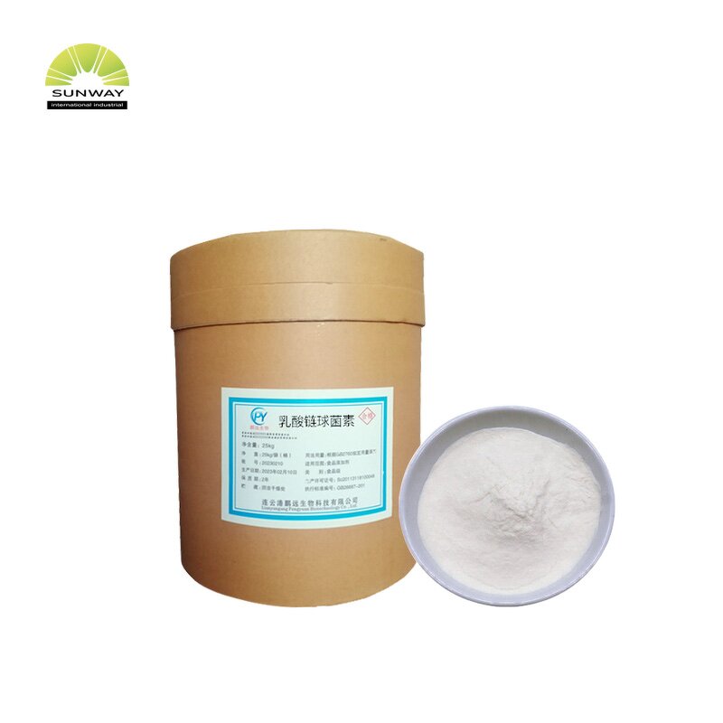 Nisin Powder Manufacturer - ISO Certified Food Preservative E234 Bulk