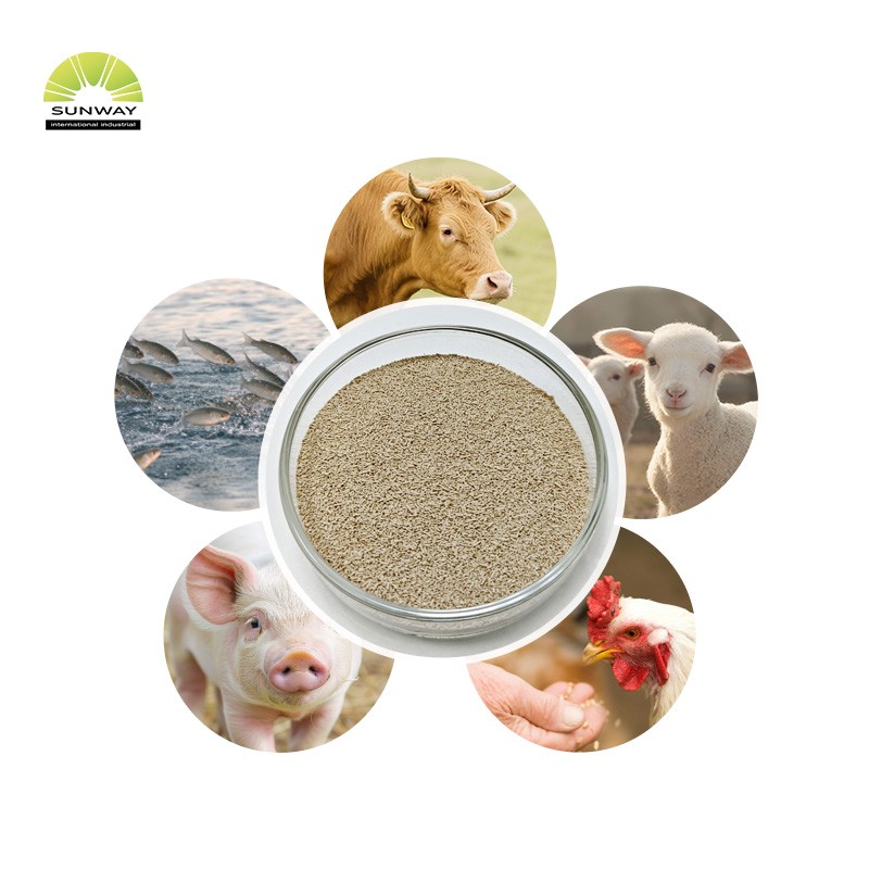 Brewer Yeast Powder Factory - Animal Feed Additive 10 Billion Cfu/g