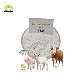Calcium Butyrate Feed Additive Factory - 99% CAS 5743-36-2 Pig Feed