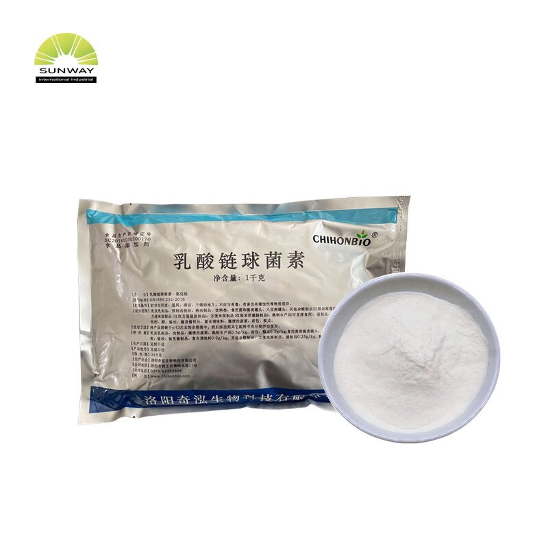 Nisin Powder Manufacturer - ISO Certified Food Preservative E234 Bulk