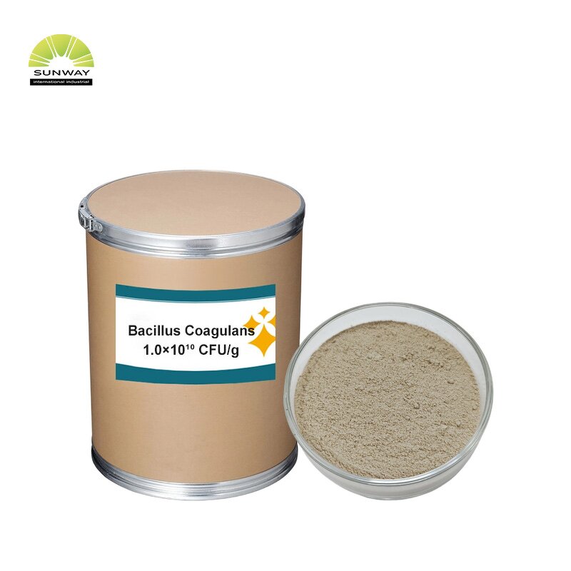 Bacillus Coagulans Powder Manufacturer - Compound for Pets Bulk