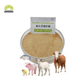 Bacillus Subtilis Powder Manufacturer - 100 Billion CFU/g Animal Probiotics