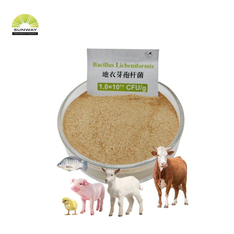 Bacillus Subtilis Powder Manufacturer - 100 Billion CFU/g Animal Probiotics
