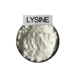 Feed Grade L-Lysine Powder Additive for Animal Feed 98.5% Animal Nutrition