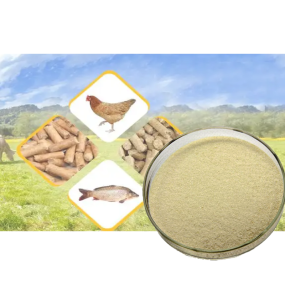 Threonine Powder Feed Grade L-threonine Powder 99% CAS 72-19-5 Price