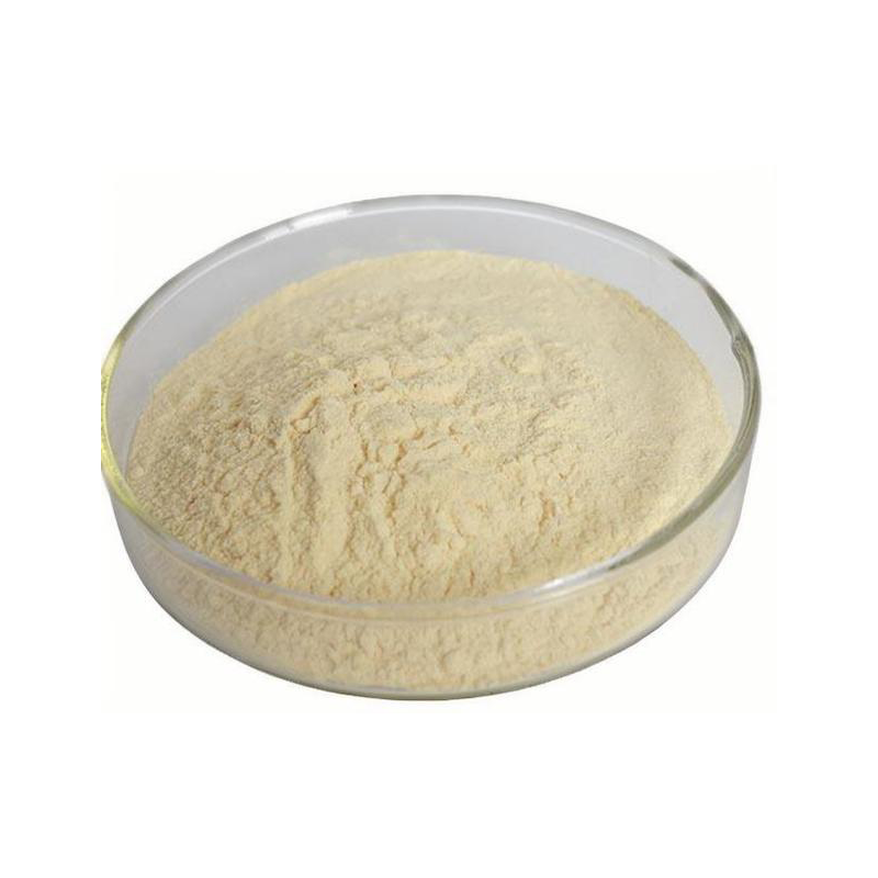 Threonine Powder Feed Grade L-threonine Powder 99% CAS 72-19-5 Price