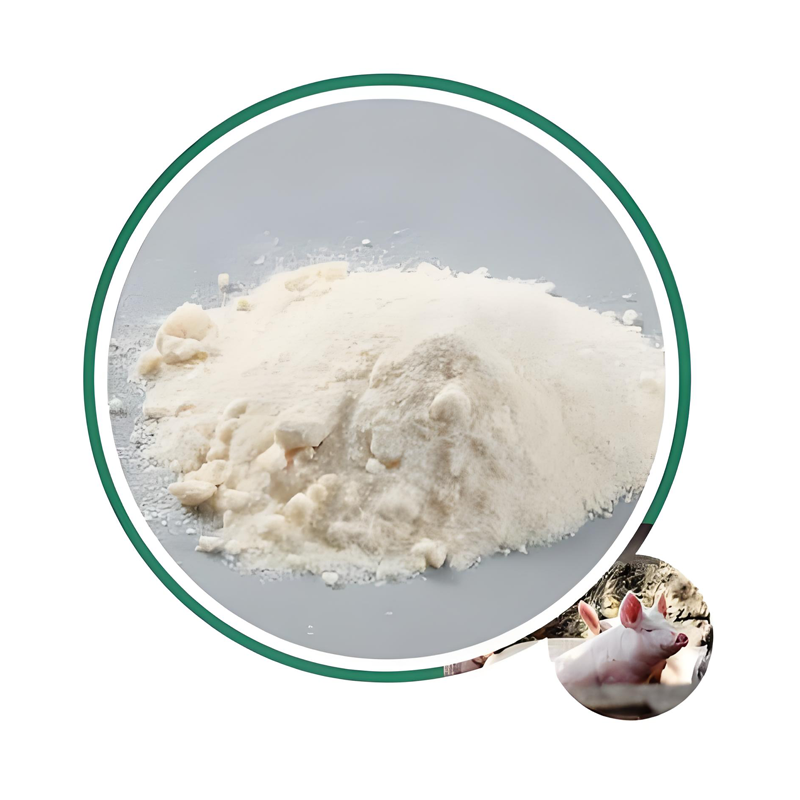 Factory Price Amino Acid Valine Powder Cas 72-18-4 L-Valine Feed Grade L-Valine