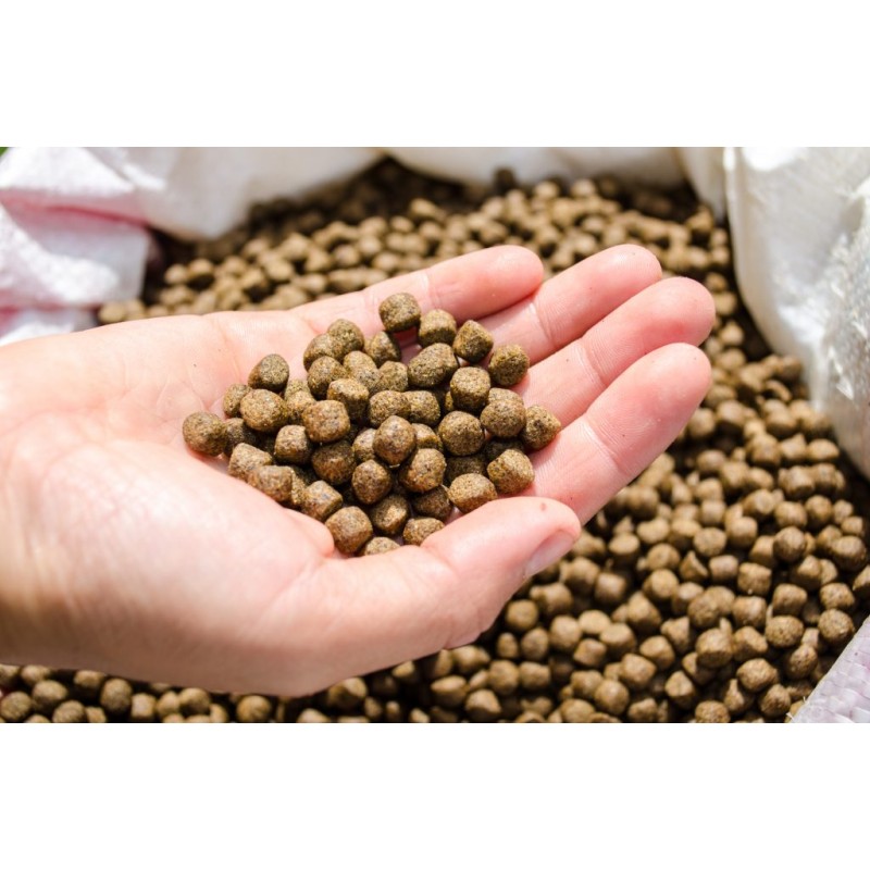 Glycerol Monolaurate Factory - Food Grade Emulsifier Preservative