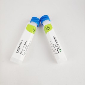 Liver Function Test Kit Factory - 5'-Nucleotidase Rapid Test