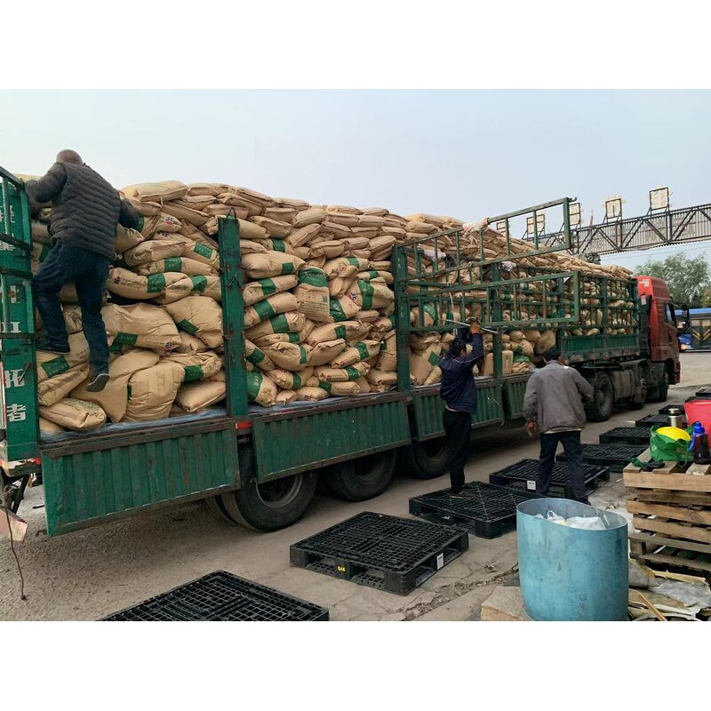 PVC Resin Powder Supplier - K67 SG5 Pipe Grade Material