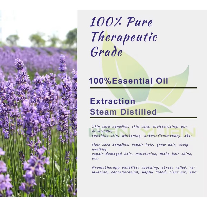 Lavender Essential Oil Manufacturer - Factory Wholesale 100% Pure Massage
