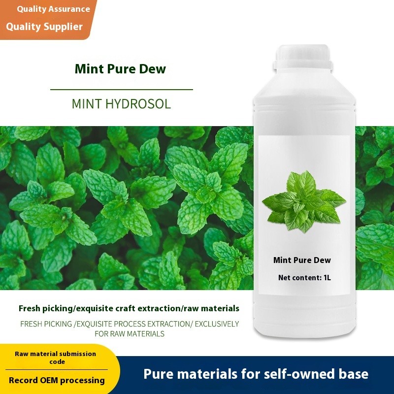 Hydrating Essential Oil Supplier - Pure Dew Fresh Mint Flower Water