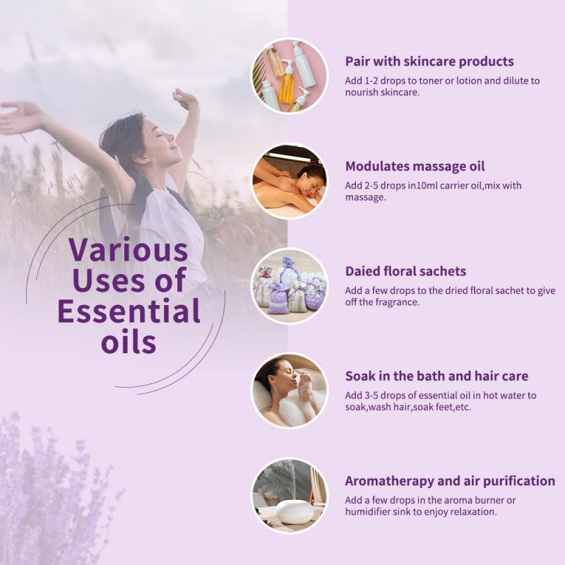 Lavender Essential Oil Factory - Wholesale Price Natural Pure Organic