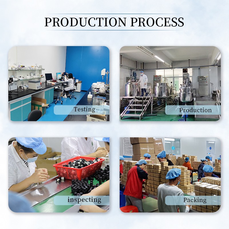 Abies Essential Oil Factory - 100% Pure Premium Quality Organic Diffuser