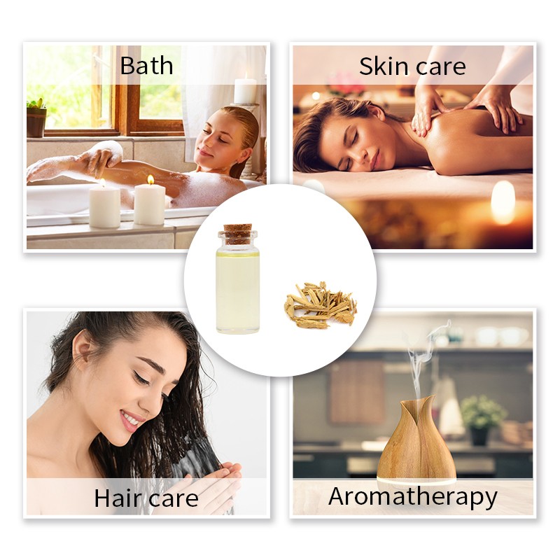 Abies Essential Oil Factory - 100% Pure Premium Quality Organic Diffuser