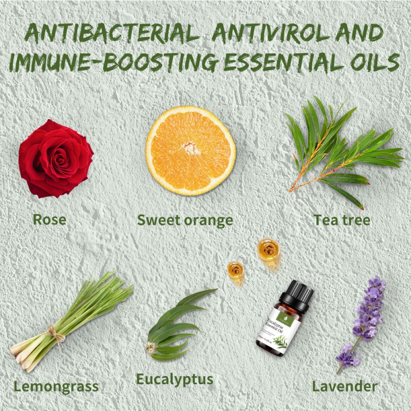 Essential Oils for Candle Making Factory - 10ml Diffuser Set 6 Oils