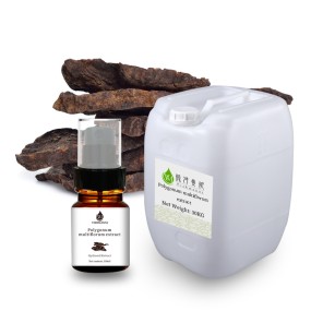 Car Fragrance Supplier - Wholesale Natural Perfume Polygonum Multiflorum