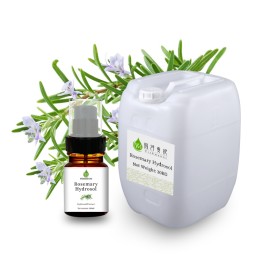 Rosemary Extract Manufacturer - Pure Organic Liquid Hair Growth