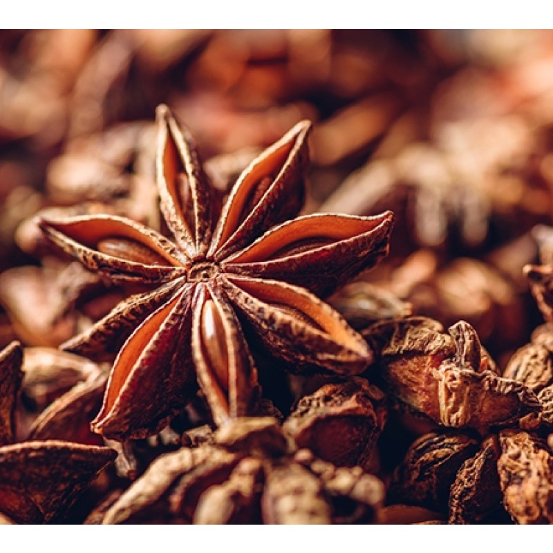 Star Anise Essential Oil Factory - High Quality 100% Pure Cosmetics Massage
