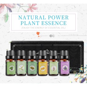 Essential Oils for Candle Making Factory - 10ml Diffuser Set 6 Oils