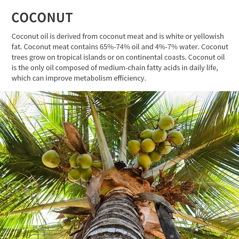 Coconut Oil Supplier - Wholesale 100% Natural Organic MSDS Certified