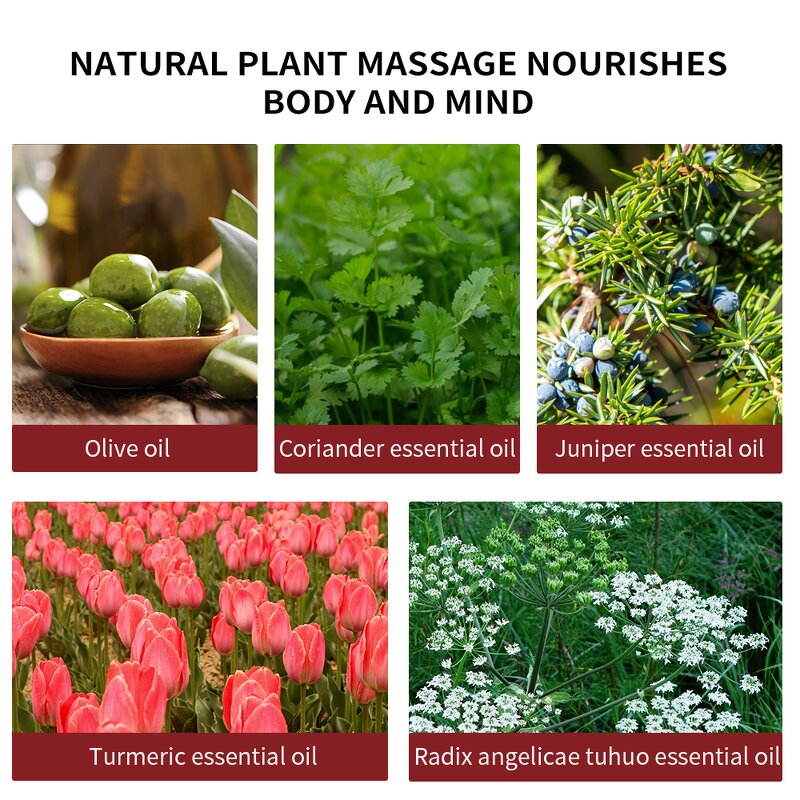 Stretch Mark Oil Supplier - Wholesale 500ml Plant-Based Skin Repair