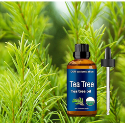 Rose Essential Oil Factory - OEM Cross-Border Single-Use Hair Facial