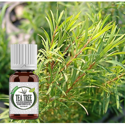 Air Fragrance Diffuser Supplier - OEM Pure Essential Oil Hotel Home