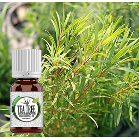 Air Fragrance Diffuser Supplier - OEM Pure Essential Oil Hotel Home