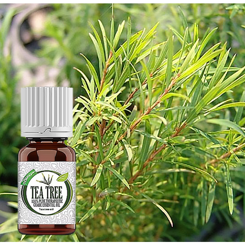 Air Fragrance Diffuser Supplier - OEM Pure Essential Oil Hotel Home