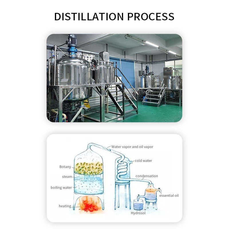 Tea Tree Essential Oil Manufacturer - China OEM/ODM Supply 25L Organic