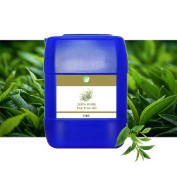 Tea Tree Essential Oil Manufacturer - China OEM/ODM Supply 25L Organic