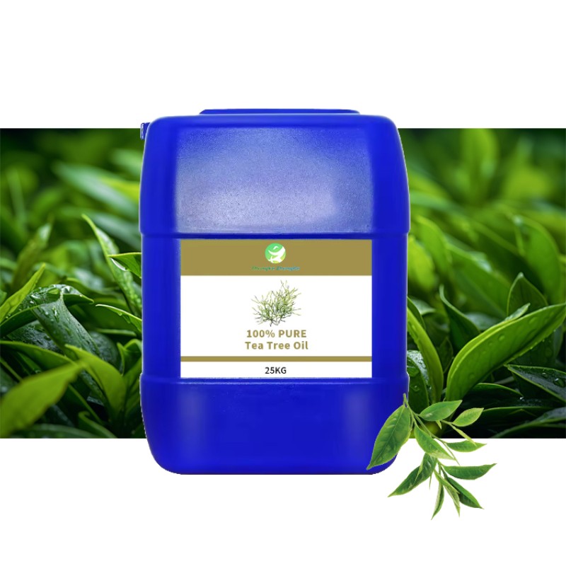 Tea Tree Essential Oil Manufacturer - China OEM/ODM Supply 25L Organic