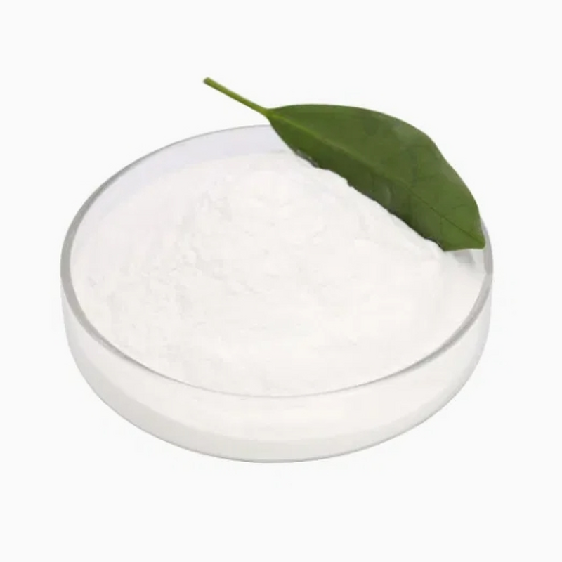 Building Additive Supplier - HPMC Workability Improver