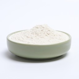 Coconut Milk Powder Supplier - Rich in Protein Desiccated Powder