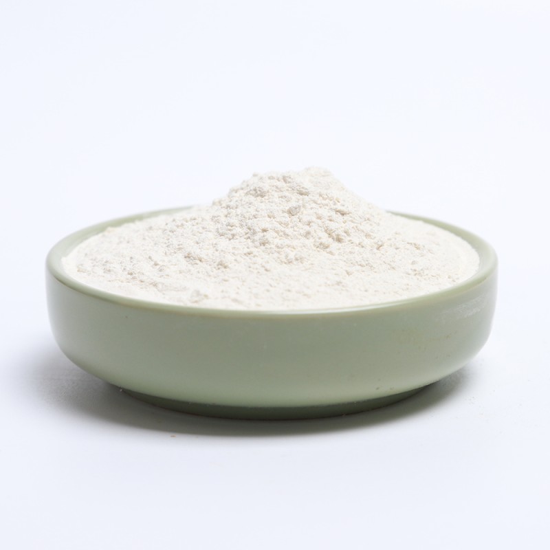 Coconut Milk Powder Supplier - Rich in Protein Desiccated Powder