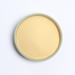 Lemon Powder Factory - Freeze Dried Yellow Lemon Fruit Powder