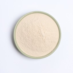 Oat Beta-Glucan Powder Manufacturer - 80% Oat Extract