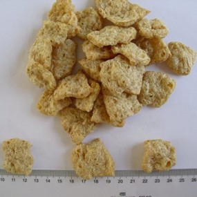 Textured Soy Protein Supplier - TSP TVP Non-GMO Bulk