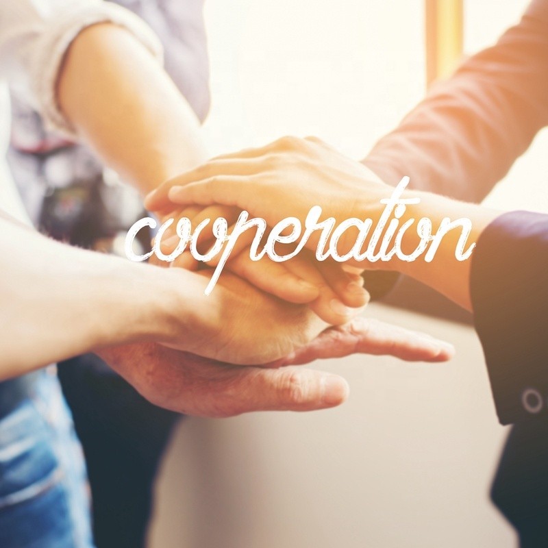 SLS Powder Factory - Sodium Lauryl Sulfate Foaming Agent