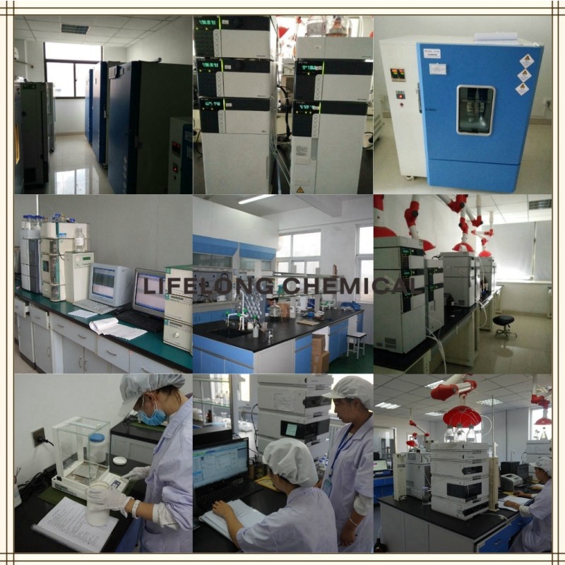 SAIB Manufacturer - Sucrose Acetate Isobutyrate 126-13-6